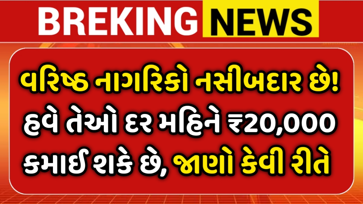 Senior Citizen Pension Scheme