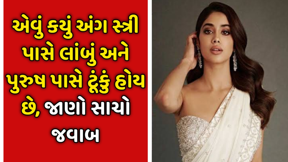 GK Questions Gujarati 2025