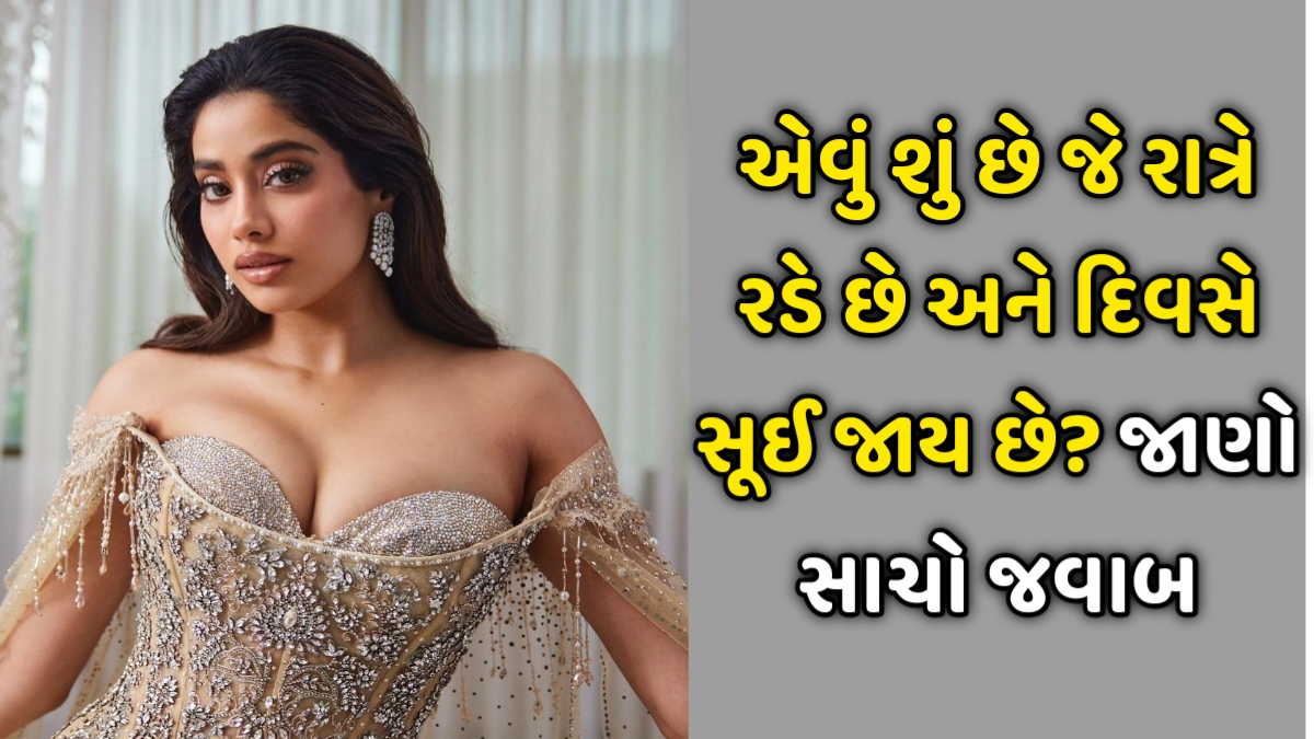 Gujarati GK Questions Update